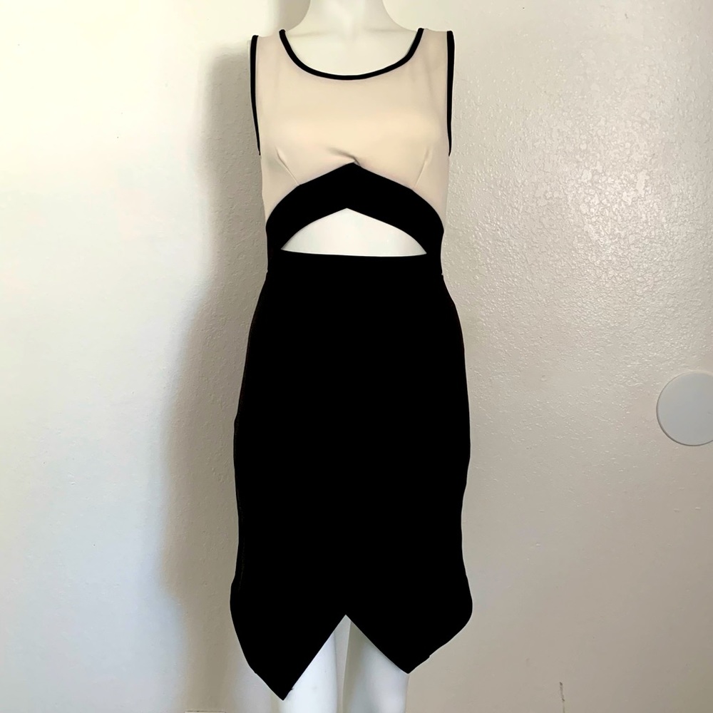 True Light Black and White Dress Size Small